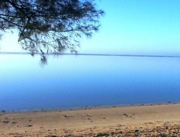 Muri Shores ราโรทองกา ภายนอก รูปภาพ